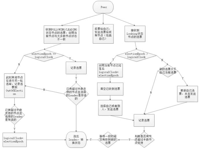 选举